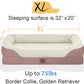 Orthopedic Washable Large Dog Bed - Removable Orthopedic Foam Dog Beds with Bolsters Waterproof Large Dogs Bed and Non-Slip Bottom