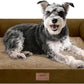 Small Dog Bed Waterproof Orthopedic Dog Beds for Medium Sized Dogs Comfy Pet Cat Bed with Sides, Washable Removable Cover
