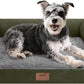 Small Dog Bed Waterproof Orthopedic Dog Beds for Medium Sized Dogs Comfy Pet Cat Bed with Sides, Washable Removable Cover