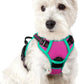 rabbitgoo Dog Harness No Pull with 2 Leash Clips, Adjustable Soft Padded, Reflective Oxford No Choke Pet Vest with Easy Control Handle for Large Dogs, Hot Pink & Turquoise, XS