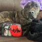 Pets - Gift Set with Travel Bag and Scrubber, Moisturizing and Gentle All Natural pet Shampoos with Aloe and Oatmeal