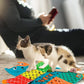 AWOOF Cute Soft Catnip Mat, Interactive Cat Toys for Indoor Cats