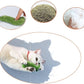 Catnip Toys for Indoor Cats - 6 Pack Organic Plush Kicker Toys, Bite-Resistant Cute Funny Toys for Play & Enrichment from Kittens to Senior Cats
