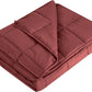 L'AGRATY Weighted Blanket - 48"x72" 20lbs Cooling Breathable Heavy Blanket Microfiber Material with Glass Beads for Adult All-Season Summer Fall Winter Soft Thick Comfort