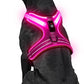 Light Up Dog Harness, Rechargeable LED Dog Harness with Battery Level Indicator, Adjustable Reflective Safety Vest for Night Walking, Soft Mesh Lighted Harness for Medium Large Dogs(5-90lbs)