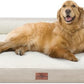 Comfort Expression XL Dog Beds for Extra Large Dogs, Waterproof Orthopedic Dog Bed with Bolster, Washable Pet Sofa Couch with Removable Cover & Non-Slip Bottom(X-Large,Beige)