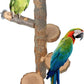 YKD Chinchilla Large Hanging Wooden Rotating Platform - Small Animals Natural Fruit Wood Standing Platform - Squirrel Suger Glider Platform - Bird Perch Platform