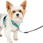 PetSafe 3 in 1 Dog Harness - No Pull Solution for Dogs - Reflective Dog Harness - Front D-Ring Clip Helps Stop Pulling - Comfortable Padded Straps - Top Handle Enhances Control - Teal - Extra Small