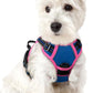 rabbitgoo Dog Harness No Pull with 2 Leash Clips, Adjustable Soft Padded, Reflective Oxford No Choke Pet Vest with Easy Control Handle for Large Dogs, Blue & Hot Pink, XS