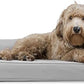Furhaven Cooling Gel Dog Bed for Large/Medium Dogs w/ Removable Bolsters & Washable Cover, For Dogs Up to 55 lbs - Quilted Sofa - Silver Gray, Large