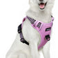 Funfox Dog Harness No Pull, Adjustable Pet Vest Harness, Super Soft Material with Vertical Handle Easy Control, Reflective Night Walking, 2 Leash Clips for XLarge Dogs, Pink, XL