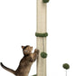 MECOOL 34“ Tall Cat Scratching Post Premium Basics Kitten Scratcher Sisal Scratch Posts Trees with Hanging Ball for Indoor Cats (34 inches for Adult Cats, Cactus Green)