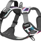 Embark Adventure Dog Harness, Reflective Trim No Pull Dog Harnesses for Small Sized Dogs - Military Grade Nylon, Front Clip with Gel Lined Handle. Soft & Padded Puppy