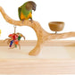Deluxe Tabletop Perfect Tree (with Bowl) - Tree Stand for Parakeets and Small Parrots