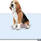 Paw Inspired Washable Pee Pads for Dogs (2 Pack), Leakproof, Non-Slip Reusable Puppy Pads for Potty Training, Whelping, Waterproof Mat (34x36 Inch, Pack of 2)