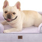 EHEYCIGA Orthopedic Dog Bed for Medium Dogs, Waterproof Memory Foam Medium Pet Beds with Sides, Non-Slip Bottom and Egg-Crate Foam Dog Couch Bed with Washable Removable Cover, Lilac