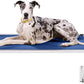 K9 Ballistics Chew Proof Armored Padded Dog Crate Bed, Virtually Indestructible, Legs Included (Blue Quartz, Medium (35" L x 22" W x 4.5" H))