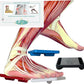 Ankle Foot Exerciser® Ankle Strengthener for ankle sprain relief, Foot Strengthener for plantar fasciitis; Ankle mobility, Posture corrector, Pilates board for home