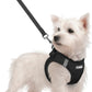 rabbitgoo Dog Harness Small Sized and Leash Set, Step in Soft Light Puppy Vest, Breathable Mesh Pet Harness, Reflective for Safe Easy Walking, Black S