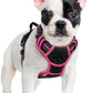 rabbitgoo Dog Harness No Pull with 2 Leash Clips, Adjustable Soft Padded, Reflective Oxford No Choke Pet Vest with Easy Control Handle for Large Dogs, Black & Hot Pink, S