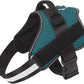 Bolux Dog Harness, No-Pull Reflective Dog Vest, Breathable Adjustable Pet Harness with Handle for Outdoor Walking - No More Pulling, Tugging or Choking (Turquoise, XS)