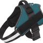 Bolux Dog Harness, No-Pull Reflective Dog Vest, Breathable Adjustable Pet Harness with Handle for Outdoor Walking - No More Pulling, Tugging or Choking (Turquoise, S)
