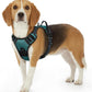 Eagloo Dog Harness Small Sized Dog, No Pull Service Vest with Reflective Strips and Control Handle, Adjustable and Comfortable for Easy Walking, No Choke Pet Harness with 2 Metal Rings, Dark Green, S