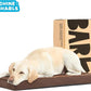 Barkbox Orthopedic Dog Bed with Memory Foam, Premium Comfort for Dogs and Puppies, Dog Bed for Joint Relief and Restful Sleep, Durable and Easy to Clean - Espresso, Large