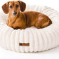 MEWOOFUN Donut Dog Beds for Small Dog, Calming Bed Round Cute Puppy Bed with Non-Slip Bottom, Fluffy Washable Pet Bed for Puppy and Kitten (Cream, S (25x25x7))