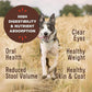 Primal Freeze Dried Raw Dog Food Nuggets, Pork, Complete & Balanced Meal, Also Use as Topper or Treat, Premium, Healthy, Grain Free, High Protein Raw Dog Food, 14 oz