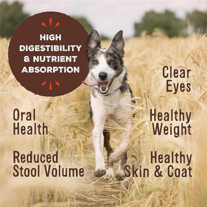 Primal Freeze Dried Raw Dog Food Nuggets, Pork, Complete & Balanced Meal, Also Use as Topper or Treat, Premium, Healthy, Grain Free, High Protein Raw Dog Food, 14 oz