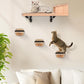 Cat Wall Shelves with 3 Cimbing Steps Wall-Mounted Cat Shelf Dogproof Feeding Bowls Station Cats Hammock and Perches for Wall Furniture Set Climber Scratching Post