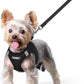 rabbitgoo Dog Harness Small Sized and Leash Set, Step in Soft Light Puppy Vest, Breathable Mesh Pet Harness, Reflective for Safe Easy Walking, Black XS