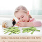 Bissap 25 PCS Guinea Pigs Chew Sticks, Natural Papaya Stems Bunny Chews Treats for Hamsters Chinchillas Small Animals Organic Molar Chewing Snack
