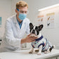Kuoser Recovery Suit for Dogs Cats After Surgery, Professional Pet Recovery Shirt Dog Abdominal Wounds Bandages, Substitute E-Collar & Cone,Prevent Licking Dog Onesies Pet Surgery Recovery Suit