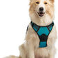 rabbitgoo Dog Harness No Pull with 2 Leash Clips, Adjustable Soft Padded, Reflective Oxford No Choke Pet Vest with Easy Control Handle for Medium Sized Dogs, Teal, M
