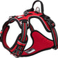 TRUE LOVE Dog Harness No Pull Nylon Reflective Pet Harness Adjustable Comfortable Control Step-in Brilliant Colors Truelove TLH56512 Red
