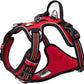 TRUE LOVE Dog Harness No Pull Nylon Reflective Pet Harness Adjustable Comfortable Control Step-in Brilliant Colors Truelove TLH56512 XL Red