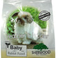 Sherwood Baby Rabbit Food. Hay-Based Pellet. No Wheat, Corn, or Soy for Better Digestion. 10 lbs