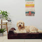 KOPEKS Orthopedic Memory Foam Dog Bed 7" Inch Thick Extra Large Dog Bed With Pillow Brown 50"x34"x10" Includes Waterproof Liner & Durable Removable Cover With Smart Design