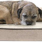 Furhaven Cooling Gel Dog Bed for Medium/Small Dogs w/ Removable Bolsters & Washable Cover, For Dogs Up to 35 lbs - Sherpa & Chenille Sofa - Cream, Medium