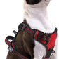 PUPTECK No Pull Dog Harness Small Sized, Adjustable Reflective Dog Harness with Handle Easy Control, Comfortable Soft Padded Pet Vest Harness for Small Dogs, Red S