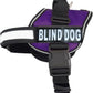 Doggie Stylz Blind Dog Harness No Pull No Escape Dog Vest for Blind Dogs Adjustable Vest with Handle Blind Dog Accessories and Patches for Training and Mobility