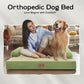 Large Dog Bed Orthopedic Washable - Beds Bolster - Extra Large Big Dogs - Memory Foam Couch Sofa - Waterproof with Removable Cover - Grass Green Dog Bed