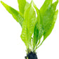 Java Fern and Anubias Aquarium Plant Bundle - Live Freshwater Plants for Aquascaping, Low Maintenance, Easy Beginner-Friendly Decor for Fish Tank