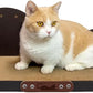 Cat Scratcher Couch Cat Scratching Bed Large Cat Scratcher Bed Cat Lounge Bed Scratching Pad for Indoor Cats