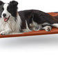 Love's cabin Elevated Cooling Dog Bed for Large Dogs, Portable Indoor & Outdoor Raised Pet Dog Cat Cot, Durable Summer Frame with Breathable Mesh, Terracotta, 48 inches