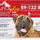 Apex Plus Flea and Tick Prevention for Dogs | X-Large (89-132 lbs) | 3-Month Supply | Dog Flea and Tick Treatment | 24-Hour Activation, Waterproof, 30-Day Protection