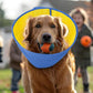 Dog Cone Soft Recovery Collars & Cones After Surgery for Medium Large Dogs, Comfy Ecollars to Stop Licking, Adjustable, Dog Ecollars for Recovery Fabric: Soft Comfort, Ecollars of Shame Alternatives