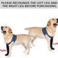 COODEO Dog Socks to Prevent Licking Paws, Healing Boots & Paw Protectors with Non-Slip Bottoms for Wound Protection, Waterproof Sleeve Shoes for Licking（Blue，3XL_Right